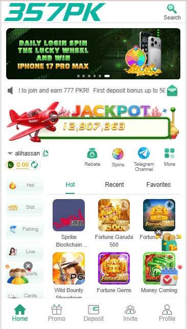 357PK Game image
