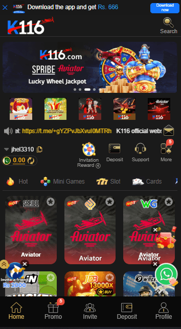 k116 game image