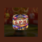spn zone game logo image