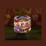 spn zone game logo image