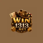 win1313 bet game image